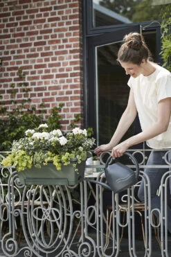 Balkonbak Elho Green Basics XL Allin1 55cm - Bladgroen -Bloempot Kortings Winkel green basics balkonbak xl allin1 55cm plantenbak bladgroen 7 14