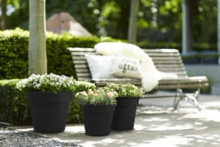 Bloempot Elho Green Basics Top Planter 47cm - Living Black 4 Bloempot Elho Green Basics Top Planter 47cm - Living Black -Bloempot Kortings Winkel green basics top planter 47cm bloempot living black 7 13
