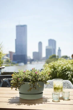 Plantenschaal Elho Greenville 33cm - Bladgroen -Bloempot Kortings Winkel greenville schaal 33cm bloempot bladgroen 6 13