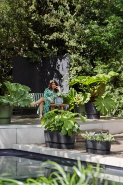 Bloembak Elho Greenville Terrace 60cm - Met Wielen - Living Black -Bloempot Kortings Winkel greenville terrace trough 60cm wheels plantenbak living black 7 13