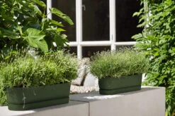 Bloembak Elho Greenville Terrace Long 50cm - Met Wielen - Bladgroen 5 Bloembak Elho Greenville Terrace Long 50cm - Met Wielen - Bladgroen -Bloempot Kortings Winkel greenville trough long 50 plantenbak bladgroen 6 13