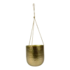 Hangpot Kody - D16 X H18cm - Goud -Bloempot Kortings Winkel hanger kody gold d16 h18 hangpot 1 4