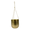 Hangpot Kody - D17 X H20cm - Goud -Bloempot Kortings Winkel hanger kody gold d17 h20 hangpot 1 4