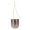 Hangpot Kody - D16 X H18cm - Rosu00e9 Goud -Bloempot Kortings Winkel hangpot kody d16 h18 rose goud hangpot 1 10