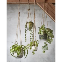 Bloempot Kortings Winkel -Bloempot Kortings Winkel hangpot resa d16 5 x h13 5cm wit hangpot 2 1