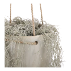 Hangpot Resa - D18,5 X H17cm - Lichtgrijs -Bloempot Kortings Winkel hangpot resa d18 5 x h17cm lichtgrijs hangpot 3 1