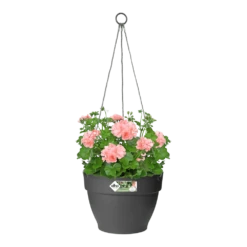 Elho Hangschaal Vibia Campana 26cm - Antraciet -Bloempot Kortings Winkel hangschaal vibia campana 26cm antraciet hangpot antraciet 3 1