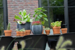 Bloempot Iowa Bullet - D57 X H50.5cm - Donkergrijs -Bloempot Kortings Winkel iowa bullet graphite d57h505 bloempot 7 9