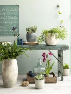 Bloempot Lester Hoog - D39 X H70cm - Donkerblauw 3 Bloempot Lester Hoog - D39 X H70cm - Donkerblauw -Bloempot Kortings Winkel lester vaas rond d blauw h70xd39cm bloempot 6 12