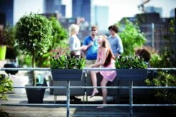 Balkonbak Elho Loft Urban 50cm - Antraciet 4 Balkonbak Elho Loft Urban 50cm - Antraciet -Bloempot Kortings Winkel loft urban balkonbak 50 plantenbak antraciet 6 13