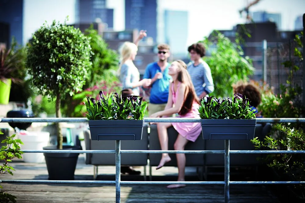 Balkonbak Elho Loft Urban 50cm - Antraciet Balkonbak Elho Loft Urban 50cm - Antraciet -Bloempot Kortings Winkel loft urban balkonbak 50 plantenbak antraciet 6 13