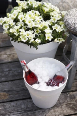 Bloempot Elho Loft Urban Rond 70cm - Antraciet -Bloempot Kortings Winkel loft urban rond 70 bloempot antraciet 6 15