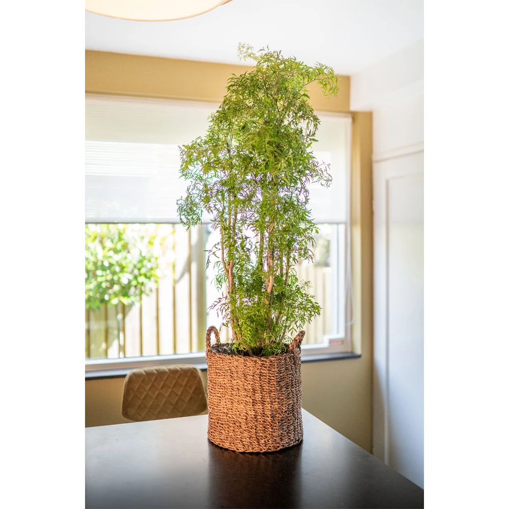 Plantenmand Joris - d38 x h33cm - Camel Plantenmand Joris - D38 X H33cm - Camel -Bloempot Kortings Winkel plantenmand joris camel plantenmand 2 2