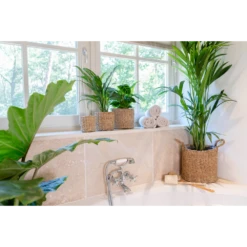 Plantenmand Joris - D38 X H33cm - Naturel 4 Plantenmand Joris - D38 X H33cm - Naturel -Bloempot Kortings Winkel plantenmand joris naturel plantenmand 3 3