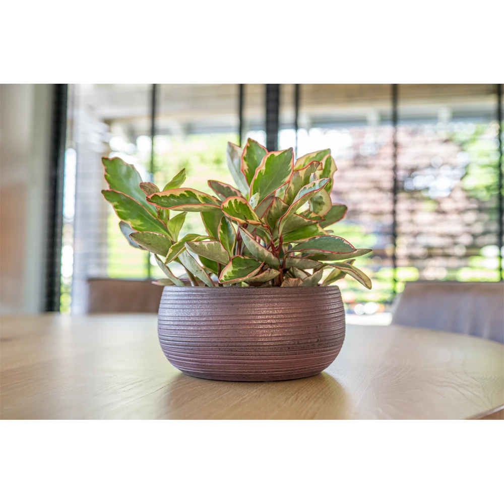 Plantenschaal Lydia - d28 x h13cm - Shiny Purple Plantenschaal Lydia - D28 X H13cm - Shiny Purple -Bloempot Kortings Winkel