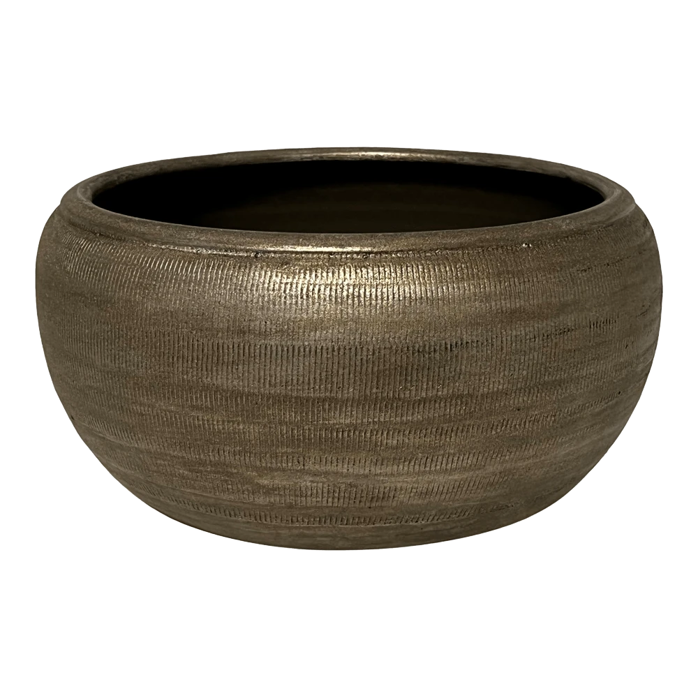 Plantenschaal Phoenix - d29 x h13cm - Zilver Plantenschaal Phoenix - D29 X H13cm - Zilver -Bloempot Kortings Winkel