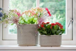Bloempot Thies Ovaal - L26 X B12 X H13cm - Olijf Groen -Bloempot Kortings Winkel planter thies olive green d26x12 h13 bloempot 6 10