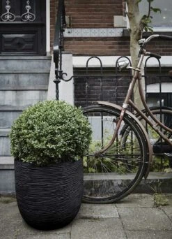 Capi Bloempot Bol Nature Row NL - D43 X H41cm - Zwart 3 Capi Bloempot Bol Nature Row NL - D43 X H41cm - Zwart -Bloempot Kortings Winkel pot bol row nl 43x41 zwart bloempot 6 9