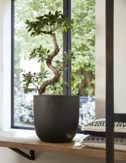 Capi Bloempot Bol Urban Smooth NL - D35 X H34cm - Zwart -Bloempot Kortings Winkel pot bol smooth nl 35x34 zwart bloempot 7 8