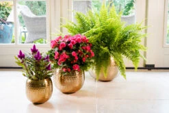 Bloempot Kody Metaal - D21 X H16cm - Goud -Bloempot Kortings Winkel pot kody gold metaal d21 h16 bloempot 7 10