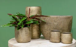 Bloempot Mira - D39 X H36cm - Goud -Bloempot Kortings Winkel pot mira d39 h36cm industrieel goud bloempot 6 12