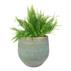 Bloempot Ryan - D31 X H28cm - Shiny Blue 3 Bloempot Ryan - D31 X H28cm - Shiny Blue -Bloempot Kortings Winkel pot ryan shiny blue keramiek d31 h28 bloempot 6 5