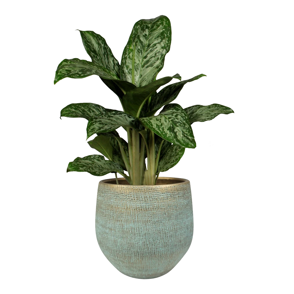 Bloempot Ryan - d36 x h32cm - Shiny blue Bloempot Ryan - D36 X H32cm - Shiny Blue -Bloempot Kortings Winkel pot ryan shiny blue keramiek d36 h32 bloempot 6 5