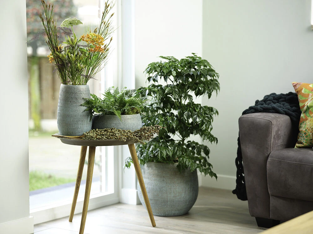 Bloempot Ryan - d36 x h32cm - Shiny blue Bloempot Ryan - D36 X H32cm - Shiny Blue -Bloempot Kortings Winkel pot ryan shiny blue keramiek d36 h32 bloempot 7 10