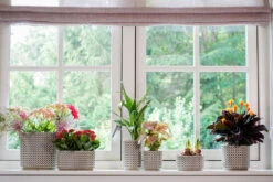 Bloempot Thies - D17 X H15cm - Olijf Groen -Bloempot Kortings Winkel pot thies olive green d17 h15 bloempot 7 9