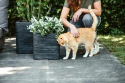 Capi Plantenbak Vierkant Nature Rib NL - L30 X B30 X H30cm - Zwart -Bloempot Kortings Winkel pot vierkant rib nl 30x30x30 zwart plantenbak 7 8