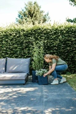 Capi Plantenbak Vierkant Nature Rib NL - L40 X B40 X H40cm - Zwart 4 Capi Plantenbak Vierkant Nature Rib NL - L40 X B40 X H40cm - Zwart -Bloempot Kortings Winkel pot vierkant rib nl 40x40x40 zwart plantenbak 7 8