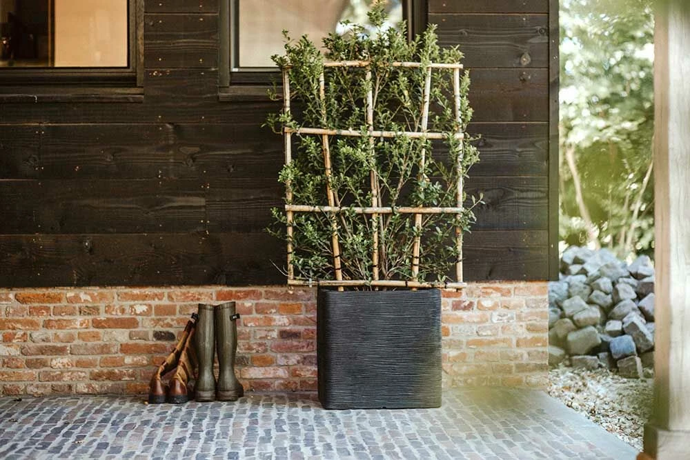 Capi Plantenbak vierkant Nature Rib NL - l50 x b50 x h50cm - Zwart Capi Plantenbak Vierkant Nature Rib NL - L50 X B50 X H50cm - Zwart -Bloempot Kortings Winkel