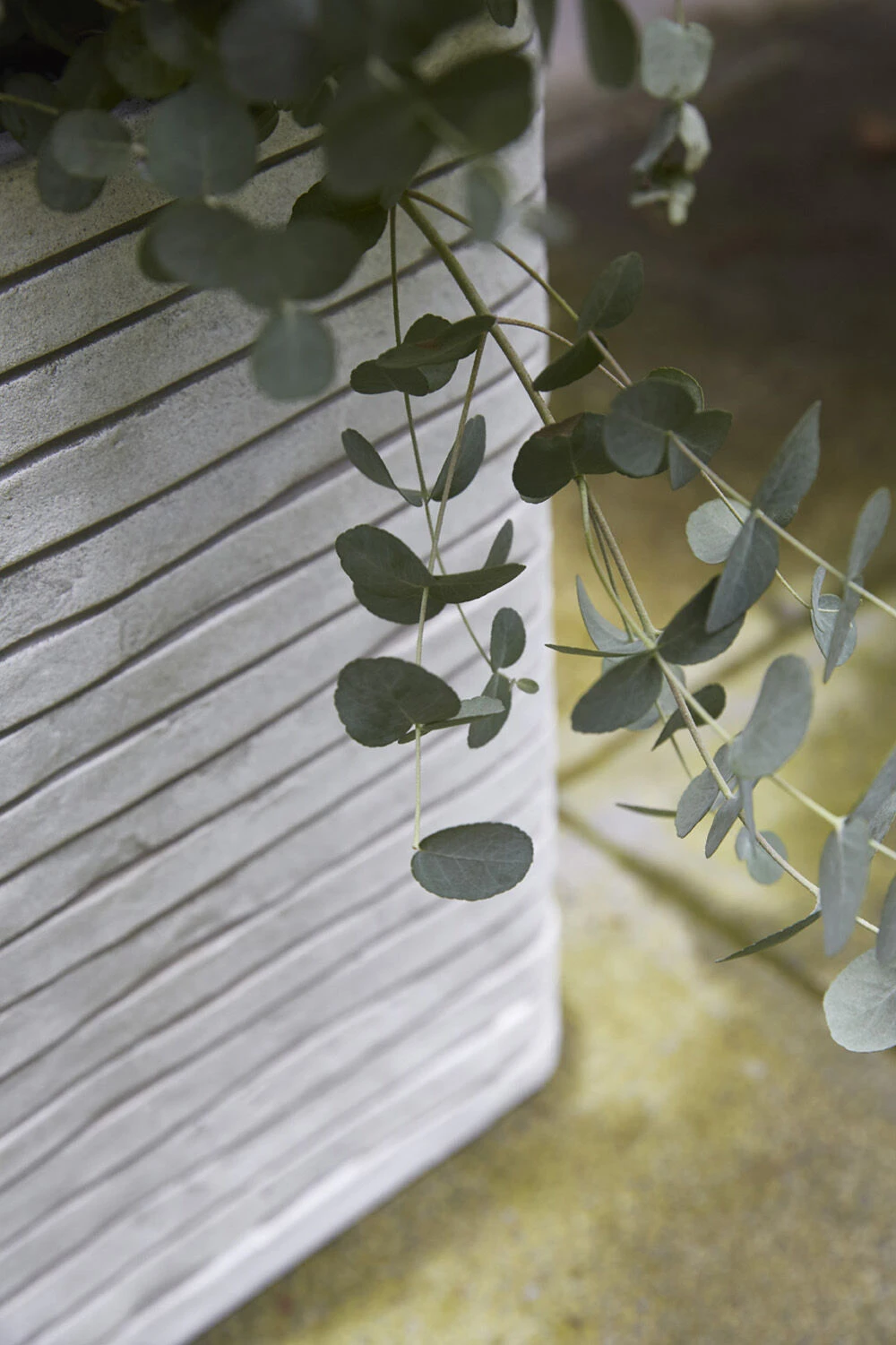 Capi Plantenbak vierkant Nature Row NL - l40 x b40 x h40cm - Ivoor Capi Plantenbak Vierkant Nature Row NL - L40 X B40 X H40cm - Ivoor -Bloempot Kortings Winkel