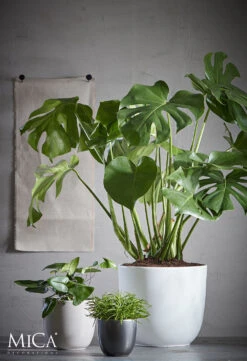 Bloempot Tusca - D25 X H23cm - Wit -Bloempot Kortings Winkel tusca pot rond wit h23xd25cm bloempot 6 11