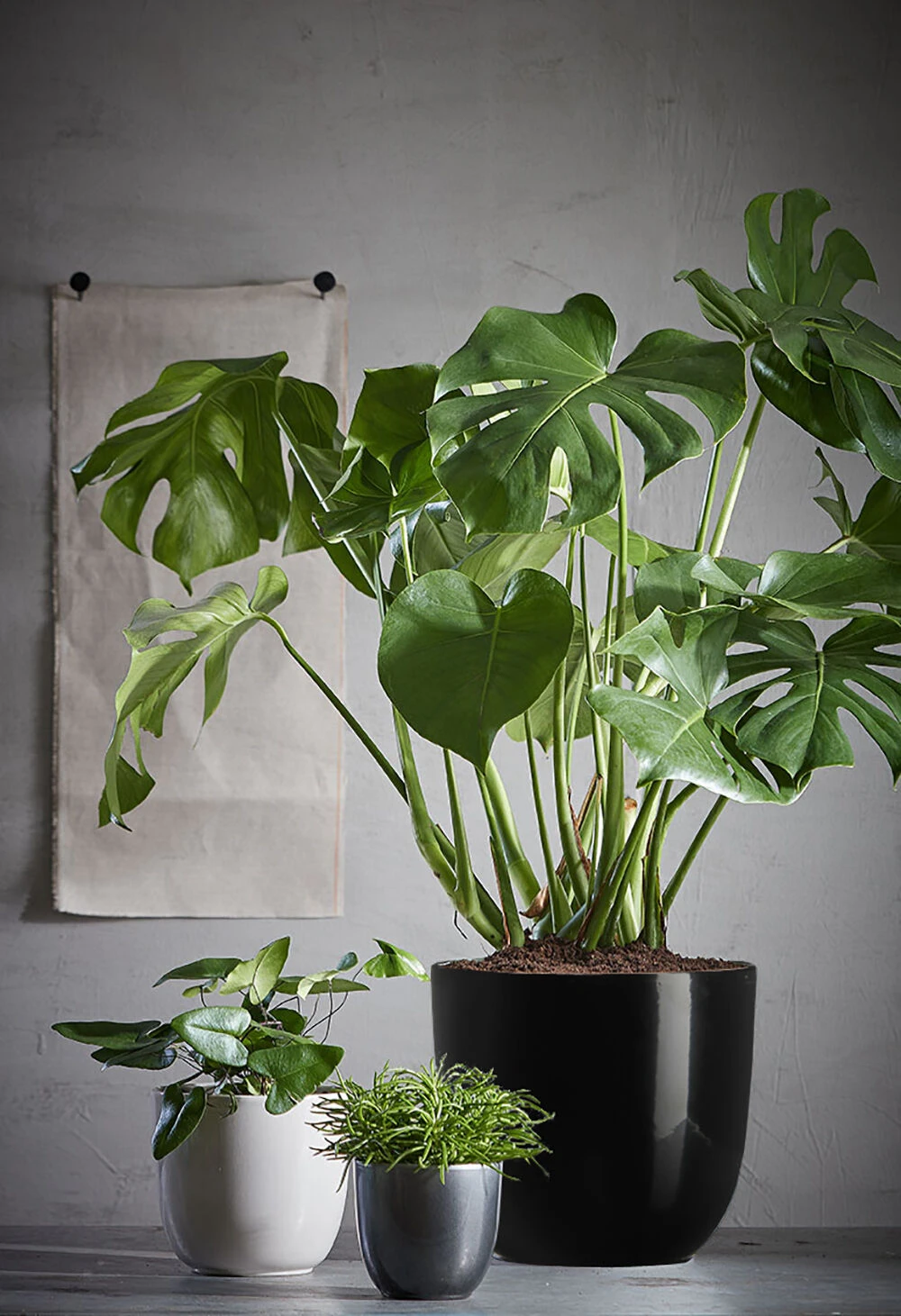 Bloempot Tusca - d28 x h25cm - Zwart Bloempot Tusca - D28 X H25cm - Zwart -Bloempot Kortings Winkel