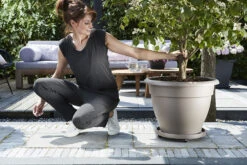 Plantentaxi Elho Universeel 40cm - Antraciet -Bloempot Kortings Winkel universele planttaxi 40cm schotel antraciet 6 11