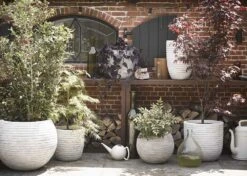 Capi Bloempot Hoog Nature Rib NL - D40 X H32cm - Ivoor 3 Capi Bloempot Hoog Nature Rib NL - D40 X H32cm - Ivoor -Bloempot Kortings Winkel vaas bol rib nl 40x32 ivoor bloempot 6 3