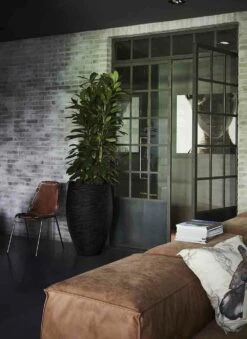 Capi Bloempot Hoog Nature Elegant Deluxe Rib NL - D38 X H58cm - Zwart -Bloempot Kortings Winkel vaas elegant deluxe rib nl 40x60 zwart bloempot 6 8