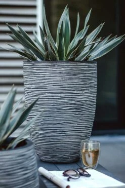 Capi Bloempot Nature Elegant Rib NL - D46 X H58cm - Antraciet 3 Capi Bloempot Nature Elegant Rib NL - D46 X H58cm - Antraciet -Bloempot Kortings Winkel vaas elegant laag rib nl 46x58 antraciet bloempot 6 8