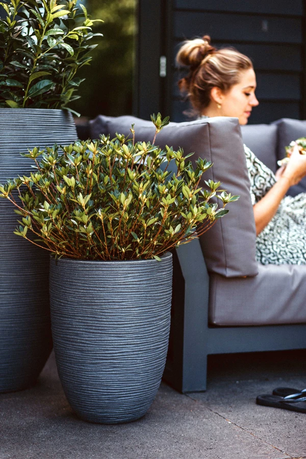 Capi Bloempot Nature Elegant Rib NL - d34 x h46cm - Donkergrijs Capi Bloempot Nature Elegant Rib NL - D34 X H46cm - Donkergrijs -Bloempot Kortings Winkel vaas elegant laag rib nl donkergrijs bloempot 2 4