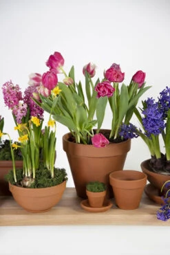 Bloempot Vaso - D43 X H36cm - Oranje -Bloempot Kortings Winkel vaso 01430iz d43h36 bloempot 6 8