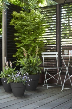 Bloempot Elho Vibia Campana Rond 35cm - Antraciet -Bloempot Kortings Winkel vibia campana rond 35 bloempot antraciet 7 11