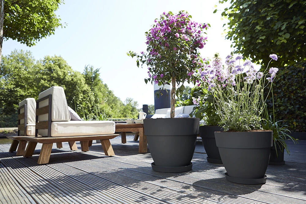 Bloempot Elho Vibia Campana rond 40cm - Antraciet Bloempot Elho Vibia Campana Rond 40cm - Antraciet -Bloempot Kortings Winkel vibia campana rond 40 bloempot antraciet 6 11