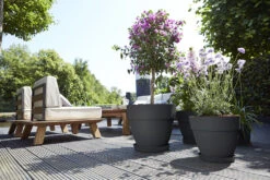 Bloempot Elho Vibia Campana Rond 55cm - Antraciet -Bloempot Kortings Winkel vibia campana rond 55 bloempot antraciet 6 11