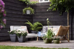 Bloempot Elho Vibia Campana Vierkant 37cm - Antraciet -Bloempot Kortings Winkel vibia campana vierkant 37 plantenbak antraciet 6 11