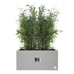 Elho Vivo Next Lang Wielen 80cm - Warm Grijs 6 Elho Vivo Next Lang Wielen 80cm - Warm Grijs -Bloempot Kortings Winkel vivo matt lang wielen 80cm warm grijs 5 1