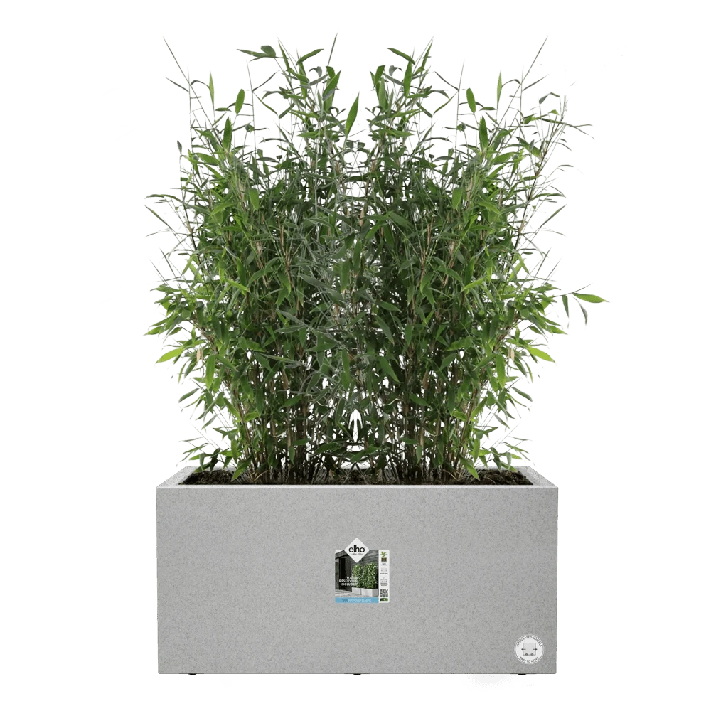 Vivo Next lang wielen 80cm - Warm Grijs Elho Vivo Next Lang Wielen 80cm - Warm Grijs -Bloempot Kortings Winkel vivo matt lang wielen 80cm warm grijs 5 1