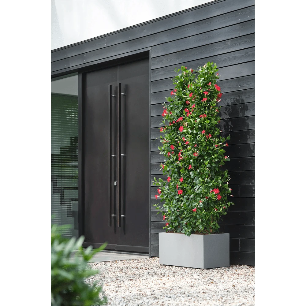 Vivo Next lang wielen 80cm - Warm Grijs Elho Vivo Next Lang Wielen 80cm - Warm Grijs -Bloempot Kortings Winkel vivo matt lang wielen 80cm warm grijs 6 1