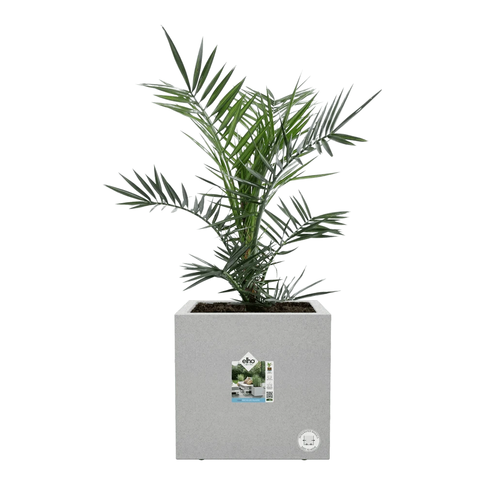 Vivo Next vierkant wielen 40cm - Warm Grijs Elho Vivo Next Vierkant Wielen 40cm - Warm Grijs -Bloempot Kortings Winkel vivo matt vierkant wielen 40cm warm grijs 6 1