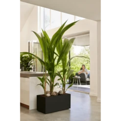 Elho Vivo Next Lang Wielen 60cm - Living Black -Bloempot Kortings Winkel vivo next lang wielen 60cm living black 7 1
